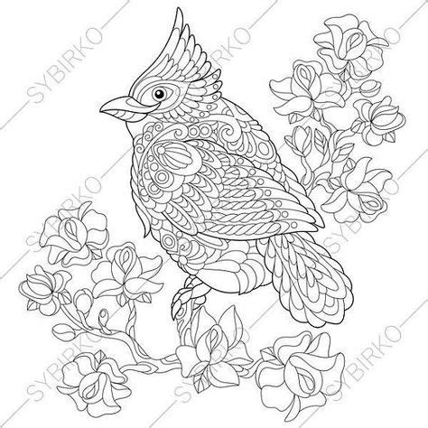 Coloring pages for adults. Red Cardinal Bird. Adult coloring pages