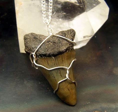 Handmade Sterling Silver Fossil Shark Tooth Necklace Pendant Wire Wrap