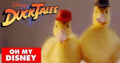 Ducktales Theme Song Recreated With Real Ducks