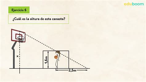 Clase 12 Problemas Y Ejercicios De Teorema De Tales Y Pitagoras Youtube