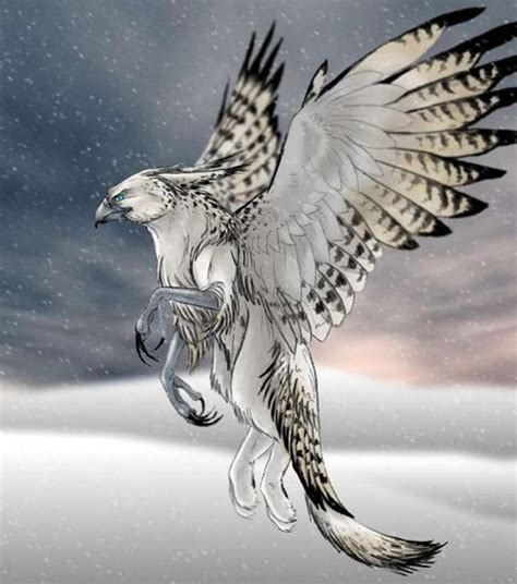 A White Griffin Mythical Creatures Art Fantasy Creatures Fantasy