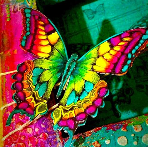 A Colorful Butterfly Sitting On Top Of A Table