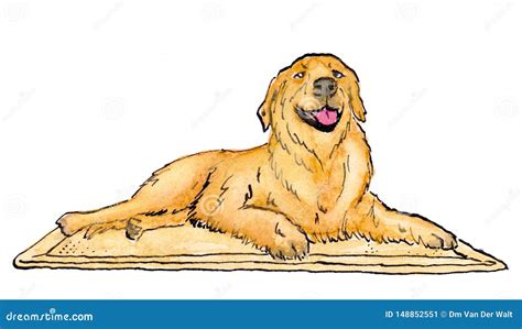 Illustration Of A Labrador Dog Lying On A Mat Stock Illustration