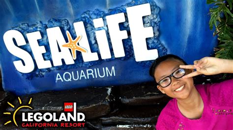 Ttl Nerd The Sea Life Aquarium At Legoland Youtube
