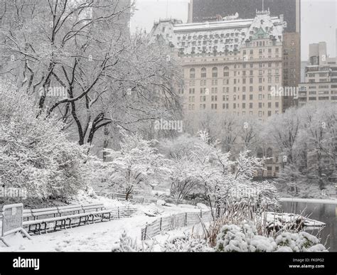 Central Park New York City During Snow Storm 252016 Stock Photo Alamy