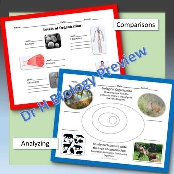 The staar review bundles are designed specifically for the staar exam. Biology STAAR Review - Biological Processes & Systems by DrH Biology