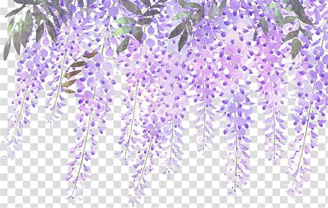 Lavender Flower Purple Wisteria Painted Lavender Wisteria Flowers