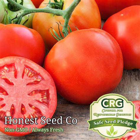 100 Beefsteak Tomato Seeds Honest Seed Co