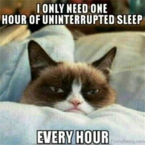 71 funny can t sleep memes for nights when insomnia is kicking in