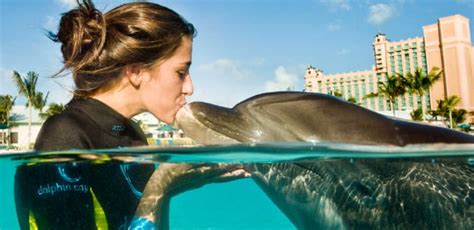 Nassau Bahamas Atlantis Aquaventure And Dolphin Cay Interaction Excursion Norwegian Cruise Line