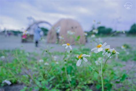 The site owner hides the web page description. 宜蘭免費景點壯圍沙丘旅遊服務園區/壯圍浪漫海邊鞦韆龜山島與大海合而為一【宜蘭壯圍】 - 微笑娃生活旅行