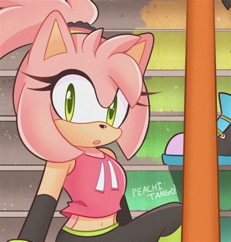 Pin By Layla At On Sonic The Hedgehog Amy Rose Shadow And Amy Sonic And Amy
