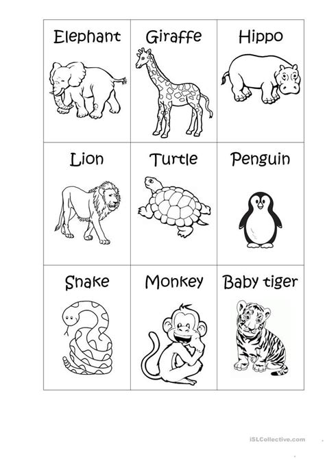 Zoo Animals Worksheet For Preschool