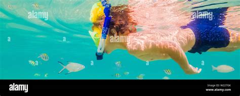 Underwater Nature Study Boy Snorkeling In Clear Blue Sea Banner Long