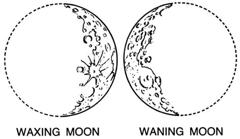 Phases Moon Coloring Pages Coloring Home