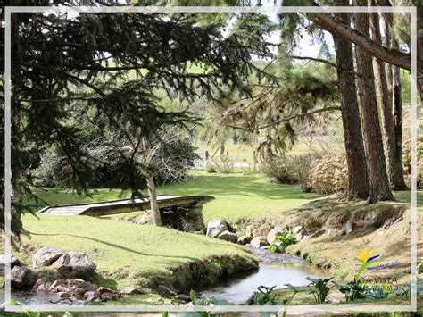 Nombre completo boavista sport club. Boa Vista Paisagismo: Jardim Residencial em Campo Alegre | SC