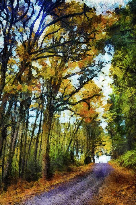 Autumn Pathways 3 Photograph By Joel Zak Fine Art America
