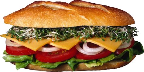 Hamburger Burger Png Image Transparent Image Download Size 1742x876px