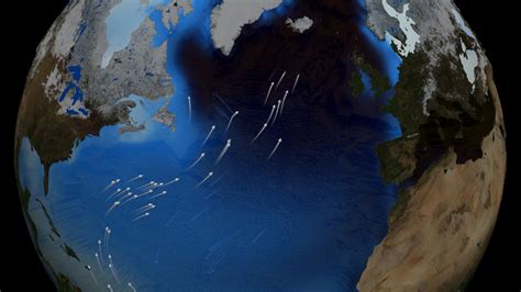 Nasa Svs The Thermohaline Circulation The Great Ocean Conveyor Belt