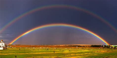 Check spelling or type a new query. No, this octo-rainbow isn't real and we should have known ...