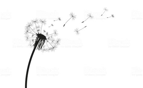 A Dandelion Blowing In The Wind On A White Background