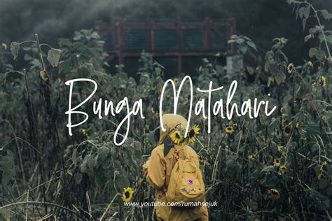 Besar, biasanya berwarna kuning terang. Lirik dan Chord Lagu Bunga Matahari - Natania Karin