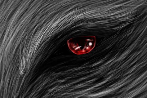 Werewolf Eye Ps Test By Doggy90 On Deviantart
