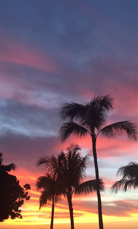 5 Amazing Places To Watch The Sunset On Oahu Palm Tree Sunset