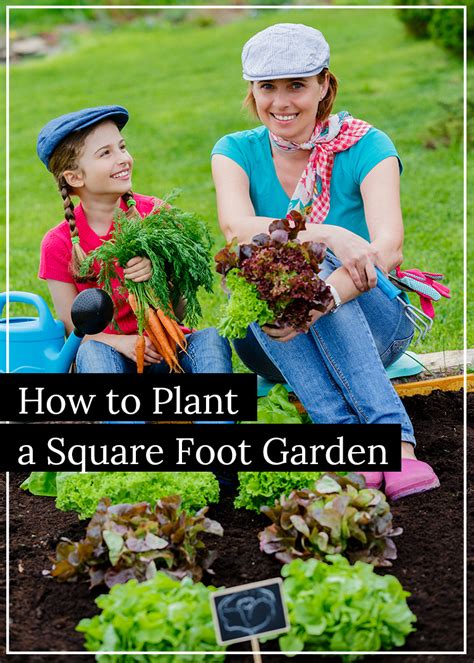 Online video course now available. How to Plant a Square Foot Garden