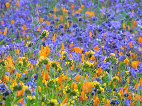 Oh yes, we can have warm days in the winter. Photos: After Winter's Onslaught of Storms, It's ...