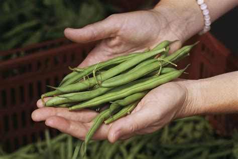 The Right Way To Freeze Green Beans Frozen Green Beans Green Beans