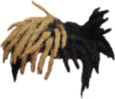 Xxxtentacion Hair Png Download Free Png Images