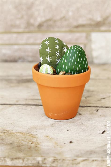 Too large a pot and they tend to rot. Painted Rock Cactus Plants - Ashley Hackshaw / Lil Blue Boo