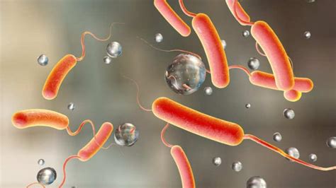 Cuidado Estos Son Los Tipos De Bacterias M S Comunes Que Pueden