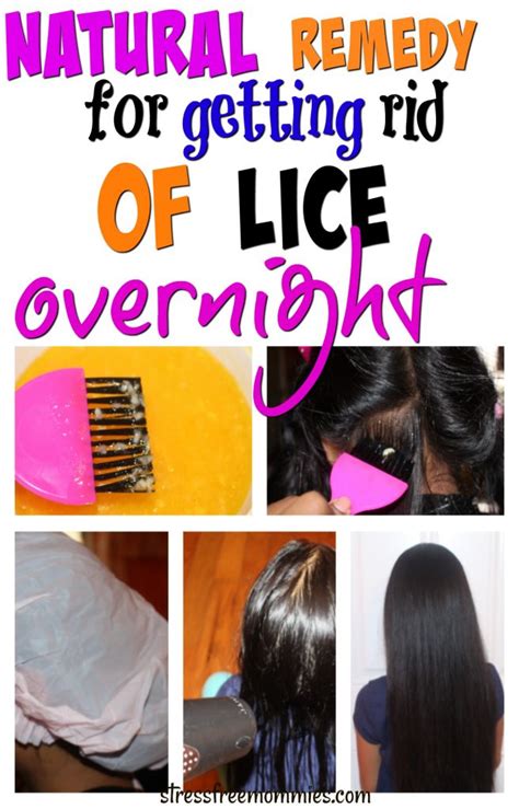 Natural Remedy For Getting Rid Of Head Lice Overnight