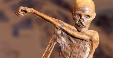 Otzi's tattoos, which appear on his lower back, behind his knee, and around. Ötzi The Iceman's Tattoos: What The Oldest Tattoos Ever ...