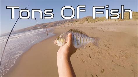 Dillons Beach Fishing Lawsons Landing Youtube