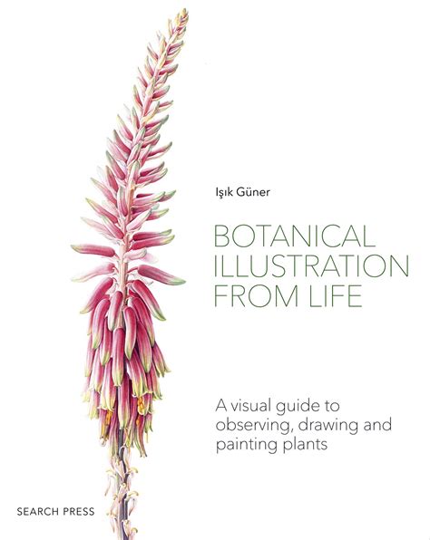 Botanical Illustration From Life A Visual Guide To Observing Drawing