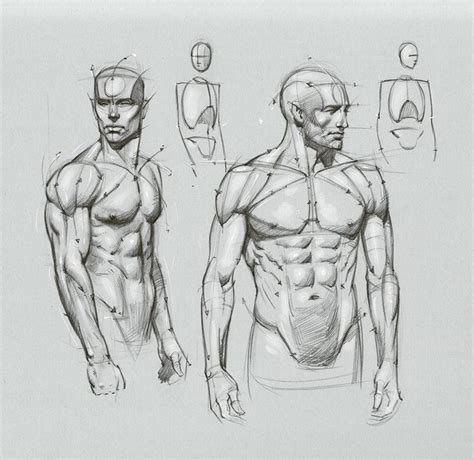 Image Result For Artist Anatomy Shoulder Figure Drawing Tutorial