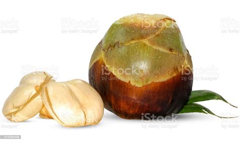 Palmyra Palm Toddy Palm Or Sugar Palm Fruit Isolated On White Stock