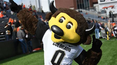 Official member of guaa (girls under armour association). Colorado Mascot Shoots Himself In The Balls After Accidentally Facing T-Shirt Cannon Wrong Way ...