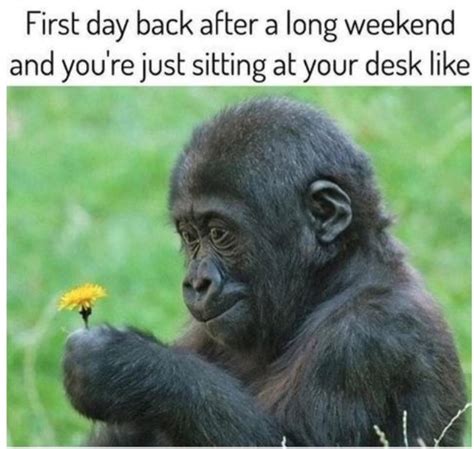 The 20 Best Monday Memes To Jump Start Your Week — Best Life