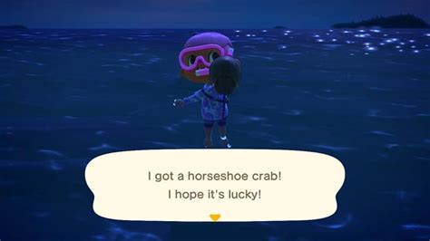 Welcome to the animal crossing subreddit! Animal Crossing Catch Quotes and Images