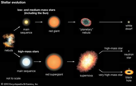 Artthe Evolution Of A Star Depends On Its Mass Low And Medium Mass