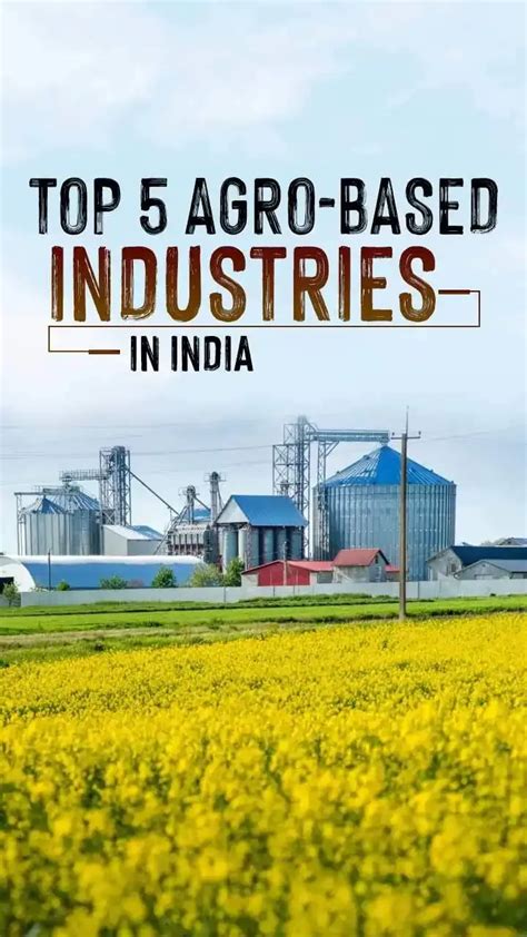 Top 5 Agro Based Industries In India 2023