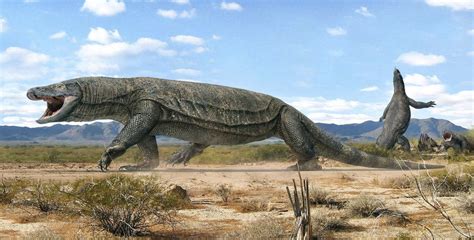 An Extinct Giant Goanna Megalania Prisca The Largest Lizard Known They Roamed Southern