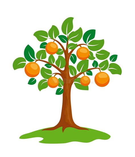 The Orange Tree Clip Art At Vector Clip Art Online Royalty Images And
