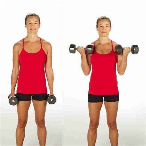 Bicep Curls With Dumbbells Menwomenvideo Just Fitness Hub