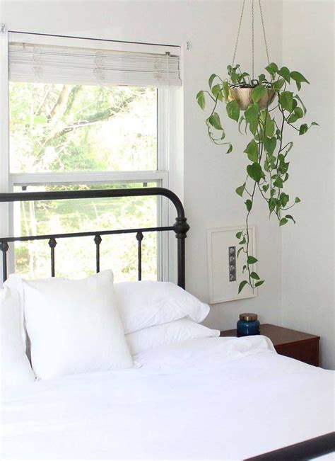 We ranked them based on quality comfort ease of maintenance durability & more! 5 Best Bedding Sets - Top-Rated Bed in a Bag Sets