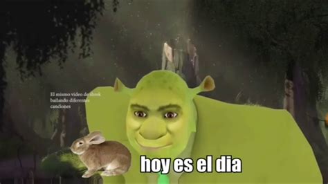 Meme Compilation Shrek Bailando Edition Youtube